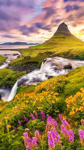River, Sky, Flowers. Free Stock Video