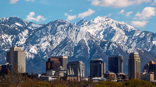 Discover the Official Utah State Insect