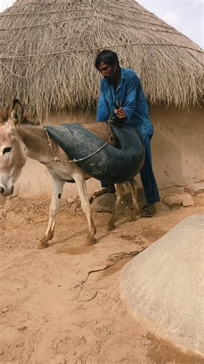 من قلب الصحراء | مشهد تعب وصبر