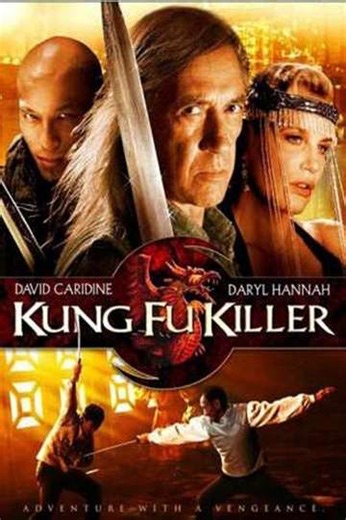Kung Fu Killer (2008) - TV Show
