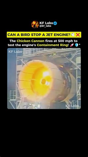 The 500 MPH "Bird Strike" Test: Ensuring Jet Safety ✈️💥