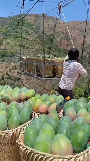 Relaxing ASMR Fruit Sounds for Ultimate Satisfaction