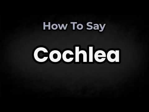 How To Pronounce Cochlea? (CORRECTLY) Meaning & Pronunciation