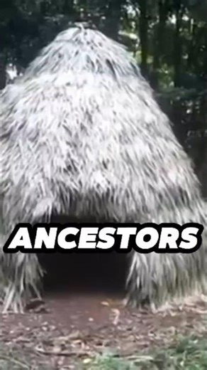 Primitive Technology: Thatched Dome Hut Construction