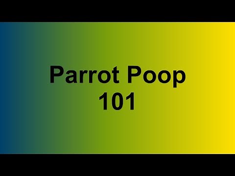 Parrot Poop 101