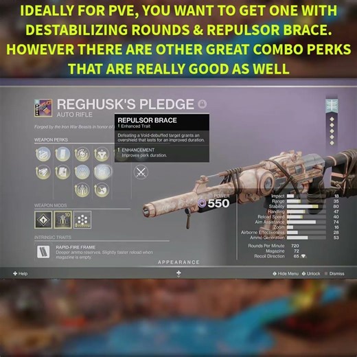DESTINY 2: Reghusk's Pledge IB AR