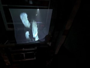 Need help with Hollusion -  material & projector...