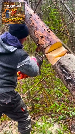 ✅Once You Know This, Cutting Tall Trees Is Easy! #wood #gardenideastips #woodscraft