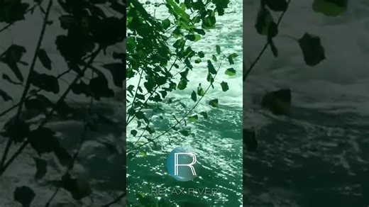 30 seconds of complete peace and calm shorts