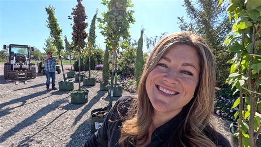 Exciting Load of BIG Trees! 🌳🌲🌳 | Garden Answer