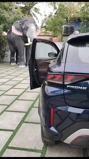 22K views · 139 reactions | Fronx android stereo fitting | CAR HUB car accessories | Facebook