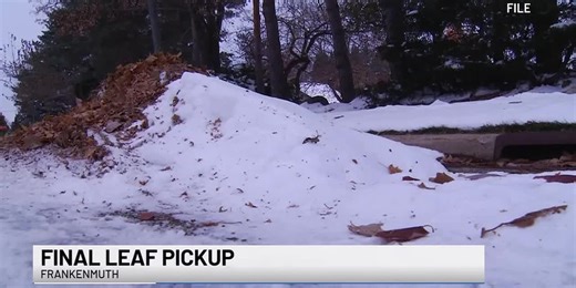 TV5 News Update: Saturday morning, Nov. 29