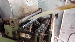 21K views · 323 reactions | Cette machine transforme les gaines du bananier en fibres. Transformation du bananier en mèche, tissu, sac... Benin flowers revolution | Agriculteurs Modernes | Facebook