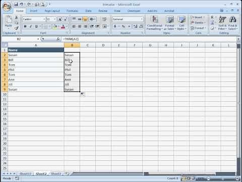 Use the TRIM Function in Excel