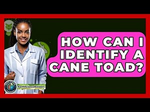 How Can I Identify A Cane Toad? - Earth Science Answers