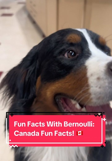 Discover Canada's Incredible Lakes: Fun Facts Revealed