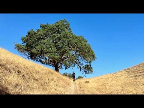 Hiking Mt. Diablo's Macedo Ranch Loop, California