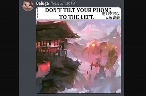 [Beluga和他的小伙伴]如果生命只剩一分钟 这只猫猫会做什么呢？