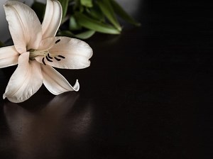 Recent Obituaries From Danbury