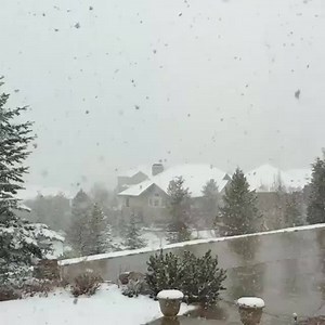 440K views · 6.2K reactions | Another spring snowstorm! ❄️ | Denver Now | Facebook