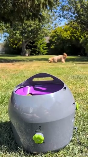 When you're as fetch obsessed as little Cooper, you need a ball launcher than can keep up! 📸 @cooper_cockerpoo_north_wales | PetSafe ANZ