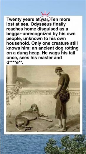 A Dog's Loyalty: The Heartbreaking Story of Argos and Odysseus #shorts #facts #history #historyfacts