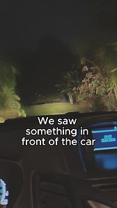 Wtf was that | Wout Company