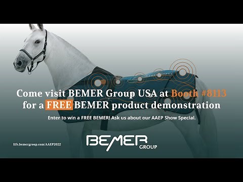 The BEMER Horse-Set