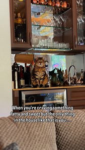 10K views · 127 reactions | A dumpling 寧 | Mickey & Mort | Facebook