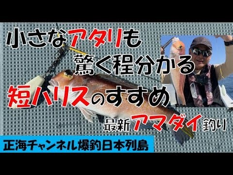 The latest information on tilefish fishing: short line fishing is recommended