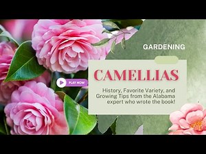 Camellias are the State Flower of Alabama!