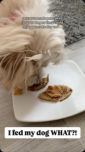 Anyone else’s dog eat better than them?!  Here’s how to make dog...
