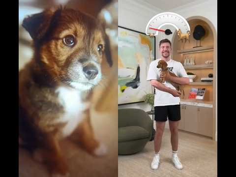 Hugging a Dog That Keeps Getting Bigger #dog #dogs