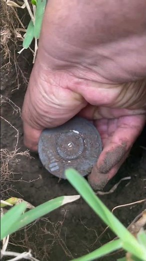 How to Raise a Sunken Sprinkler Head | Easy DIY Fix