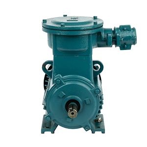 [Hot Item] Flameproof Yb3-112m-2 (4KW/6HP) 380V 3phase AC Induction Motor 2/4/6/8 Poles with CE CCC Explosion Proof Certificate for Pump and Mining Industry IP55 Exdiibt4