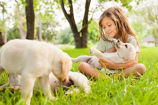 Puppy Socialization: Why, When, and How to Do It Right