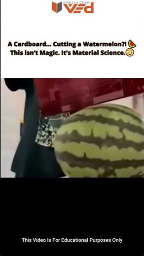 Cardboard CUTS a Watermelon?! 😳 | Material Science Explained #shorts #viral