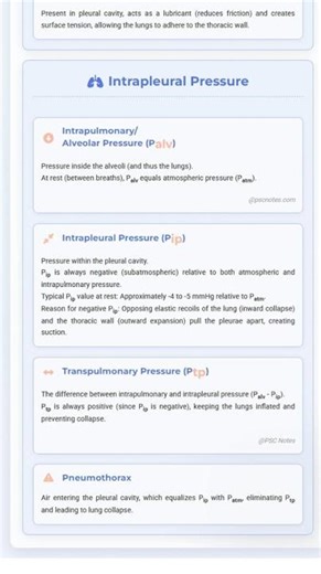 Pleural Membranes and Intrapleural Pressure