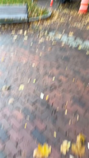 The winter lights are being installed! Have you seen any yet? Let us know in the comments 💬 | Portland Downtown