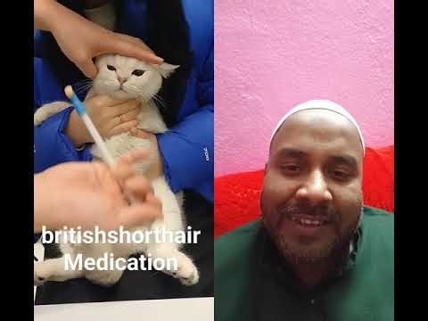 ​"The cute cat is taking medicine."💊 #catworld #kitty #cat #kitten #cute#cats#shorts#viral😺