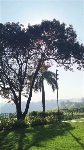 #nature #morning #morningvibes #vibes