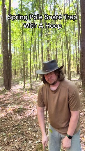 Spring Pole Snare Trap With Hoop