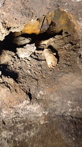 203K views · 1.3K reactions | Dynamite stick awaits it's next kaboom #forgottenlabyrinths | Forgotten Labyrinths | Facebook