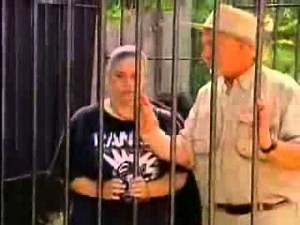 8 Just For Laughs VidoEmo Emotional Video Unity