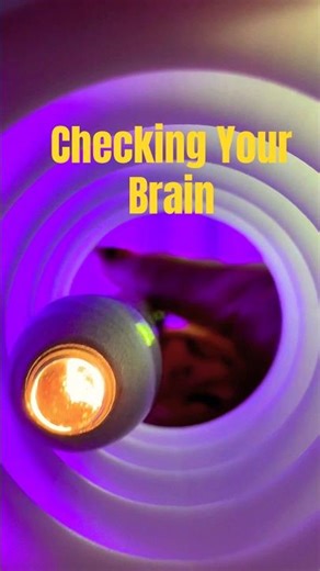 Your Brain Looks Overloaded.