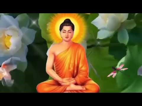 🙏 Zen music for peace of mind, turn your ears toward Buddha