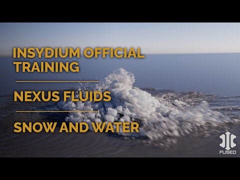 INSYDIUM Training - Snow and Water