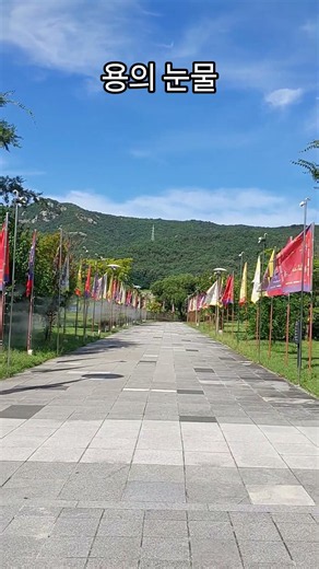 용의 눈물 드라마 현장 "역사는 살아있다 !!"