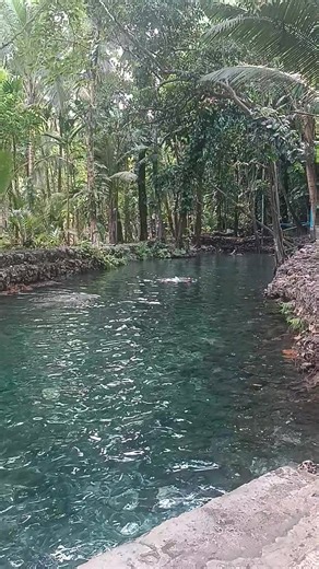 Yusuf Mozes on Reels