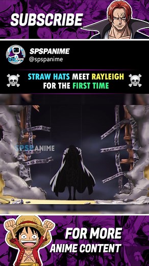 Straw hats meet Rayleigh for the First time #rayleigh #luffy #zoro #onepieceedit #shorts